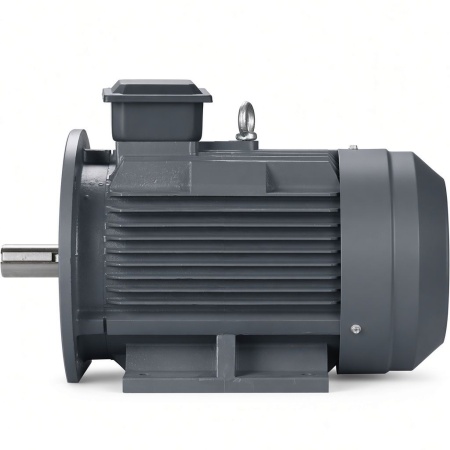 Электродвигатель ET-YE2-400M2-4 B35 SF1.00 (450 кВт, 1490 об.мин., IEC/DIN, IE2, IP55) трехфазный асинхронный